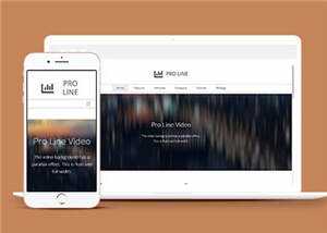 简洁专业服务信息在线响应式网页模板下载 - 网创&网赚 项目教学