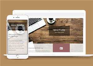 简洁项目简介展示响应式网页模板下载 - 网创&网赚 项目教学