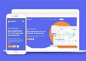 全域数据智能服务商网站模板 - 网创&网赚 项目教学