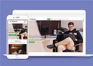 简洁创新产品驱动响应式网页模板下载 - 网创&网赚 项目教学