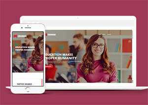 响应式教育机构学校HTML5模板 - 网创&网赚 项目教学