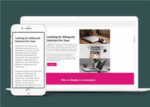 简洁商务创造营销服务响应式网页模板下载 - 网创&网赚 项目教学