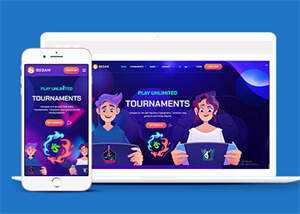 商业方案解决公司网站模板 - 网创&网赚 项目教学