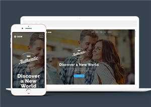 简洁产品商务展示动态响应式网页模板下载 - 网创&网赚 项目教学