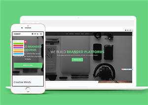 宽屏企业品牌动态展示响应式网站模板下载 - 网创&网赚 项目教学