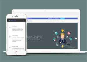 简洁项目外包企业网站模板下载 - 网创&网赚 项目教学