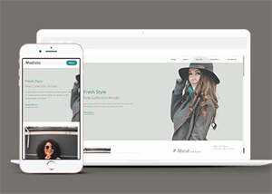 新颖时尚女装品牌企业网站模板 - 网创&网赚 项目教学