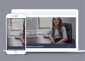 简洁专业投资顾问网站模板下载 - 网创&网赚 项目教学