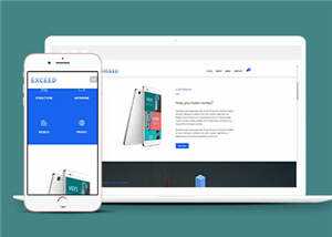 宽屏创意产品动态展示响应式网站模板下载 - 网创&网赚 项目教学