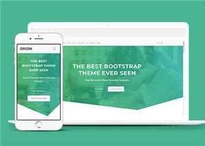 宽屏绿色产品信息展示响应式网站模板下载 - 网创&网赚 项目教学