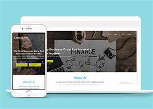 宽屏企业创新设计网站模板下载 - 网创&网赚 项目教学