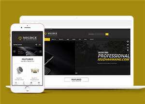 简洁响应式灯具公司前端模板下载 - 网创&网赚 项目教学