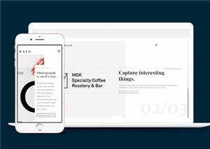 宽屏创意展示动态响应式网站模板下载 - 网创&网赚 项目教学