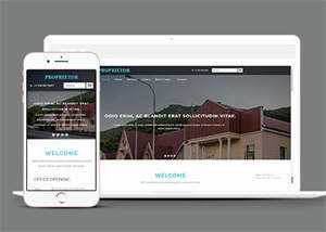 宽屏国外别墅展示类网站模板 - 网创&网赚 项目教学