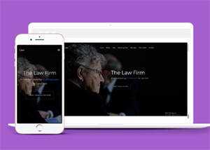 美国律师事务所企业网站模板源码 - 网创&网赚 项目教学