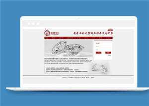 红色珠宝公司源码模板下载 - 网创&网赚 项目教学