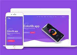 宽屏APP项目展示响应式网页模板下载 - 网创&网赚 项目教学