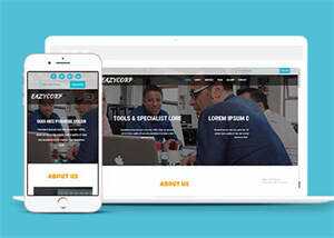 服务团队培训类公司网站模板 - 网创&网赚 项目教学