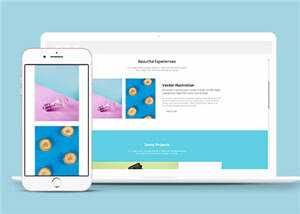 简约创意产品时尚展示响应式网页模板下载 - 网创&网赚 项目教学