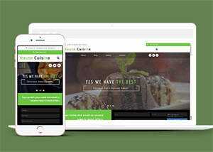 响应式烹饪厨师网站模板下载 - 网创&网赚 项目教学