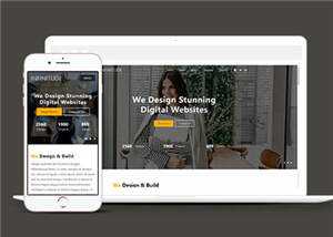 宽屏网站设计服务响应式网站模板下载 - 网创&网赚 项目教学