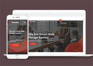 web软件应用开发公司网站模板 - 网创&网赚 项目教学