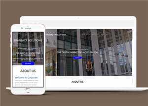 简约公司项目解决方案HTML网页模板下载 - 网创&网赚 项目教学