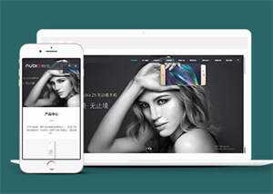 宽屏智能手机配件类网站前端模板 - 网创&网赚 项目教学