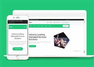 互联网增值服务公司网站模板下载 - 网创&网赚 项目教学