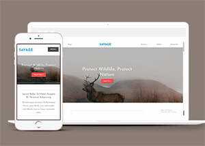 保护野生动物响应式网站模板下载 - 网创&网赚 项目教学