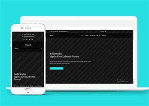 旅游景点展示类网站模板下载 - 网创&网赚 项目教学