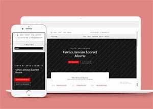 唯美休闲小清新网站模板下载 - 网创&网赚 项目教学