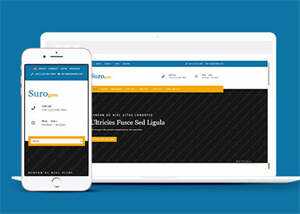 宽屏橙色手机应用设计网站模板 - 网创&网赚 项目教学