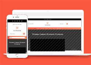 响应式橘红色企业公司网站模板 - 网创&网赚 项目教学