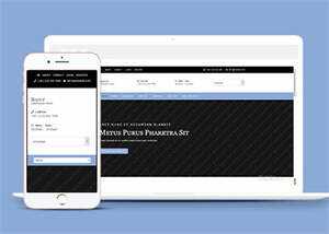 简洁浅蓝色企业CSS3网站模板 - 网创&网赚 项目教学