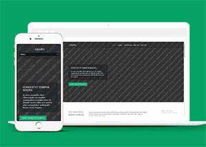 响应式野外游泳爱好者网站模板 - 网创&网赚 项目教学