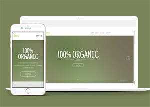 简洁绿色主题公司网站模板下载 - 网创&网赚 项目教学