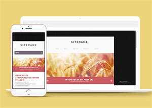 宽屏粉色个人博客主页网站模板 - 网创&网赚 项目教学