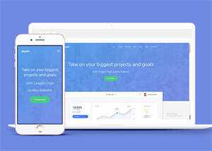互联网云平台公司网站模板源码 - 网创&网赚 项目教学