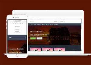 大图旅行企业框架网站模板下载 - 网创&网赚 项目教学