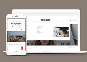 关于网上眼镜商城网站模板下载 - 网创&网赚 项目教学