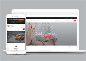 关于金银首饰企业官网网站模板 - 网创&网赚 项目教学