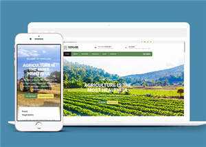 宽屏农业生产项目html模板下载 - 网创&网赚 项目教学