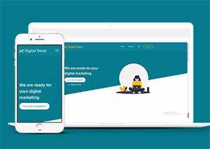 宽屏保险公司客户服务网站模板 - 网创&网赚 项目教学