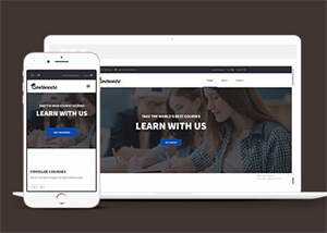 宽屏在线课程学习网站模板下载 - 网创&网赚 项目教学