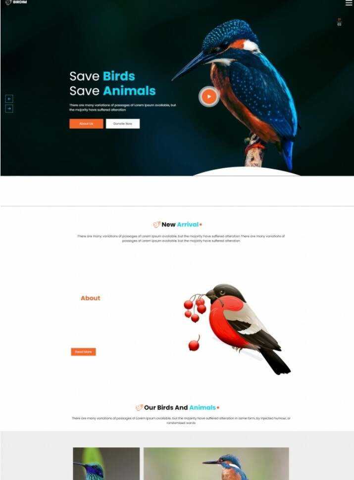 拯救鸟类拯救动物HTML5网站模板 - 网创&网赚 项目教学