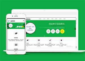 简洁品牌策划类网站前端模板下载 - 网创&网赚 项目教学