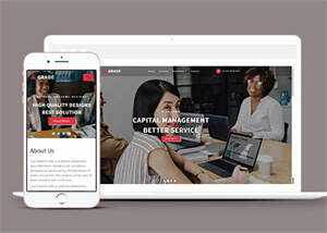 证券咨询服务机构网站模板下载 - 网创&网赚 项目教学