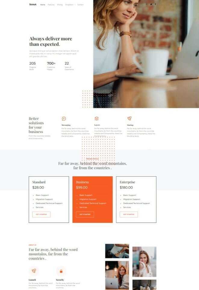 Bootstrap商务咨询服务公司网站HTML模板 - 网创&网赚 项目教学