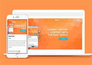 简洁安卓手机应用APP网站模板 - 网创&网赚 项目教学